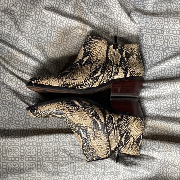 Sam Edelman ankle boots. Size 8.5. Moderate wear. Scuffs as shown. - Picture 8 of 8